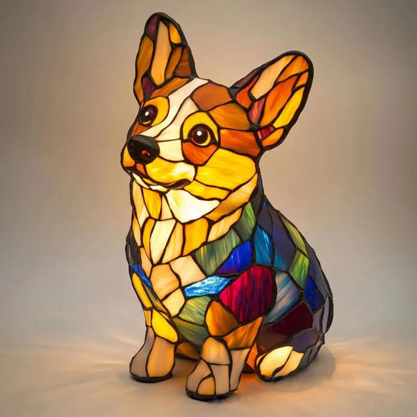 Corgi Luz Radiante